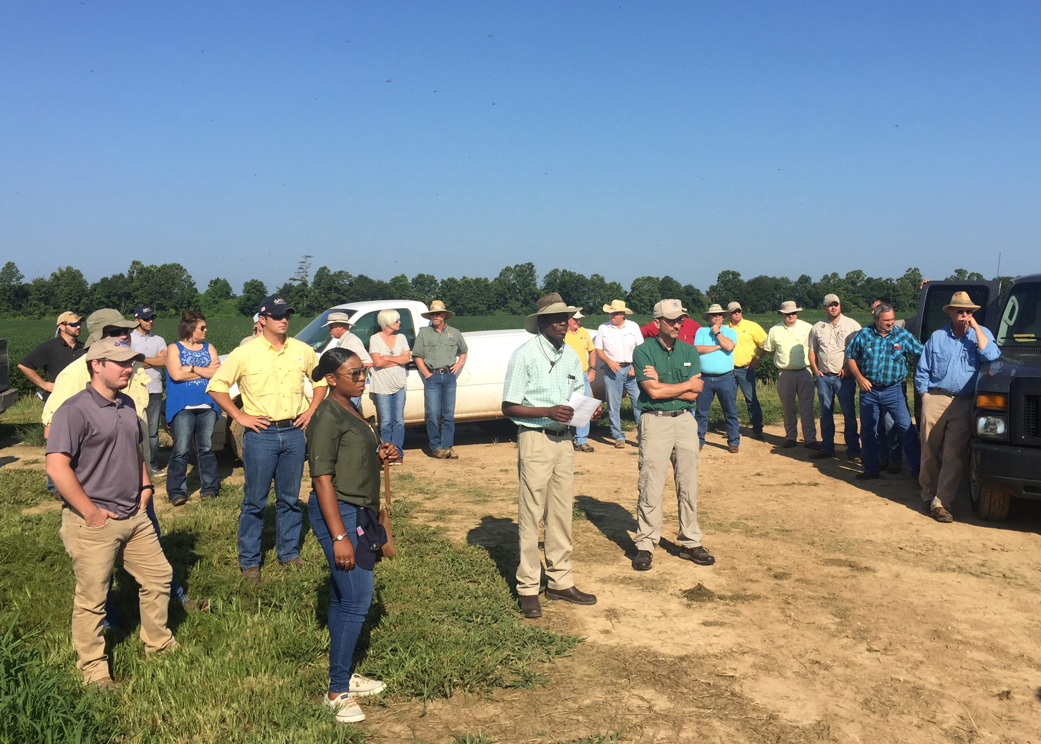 Row rice, nematodes featured at field tour